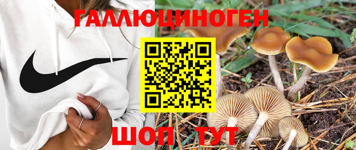Печора  Галлюциногенные грибы ЛСД  Вход с VPN 